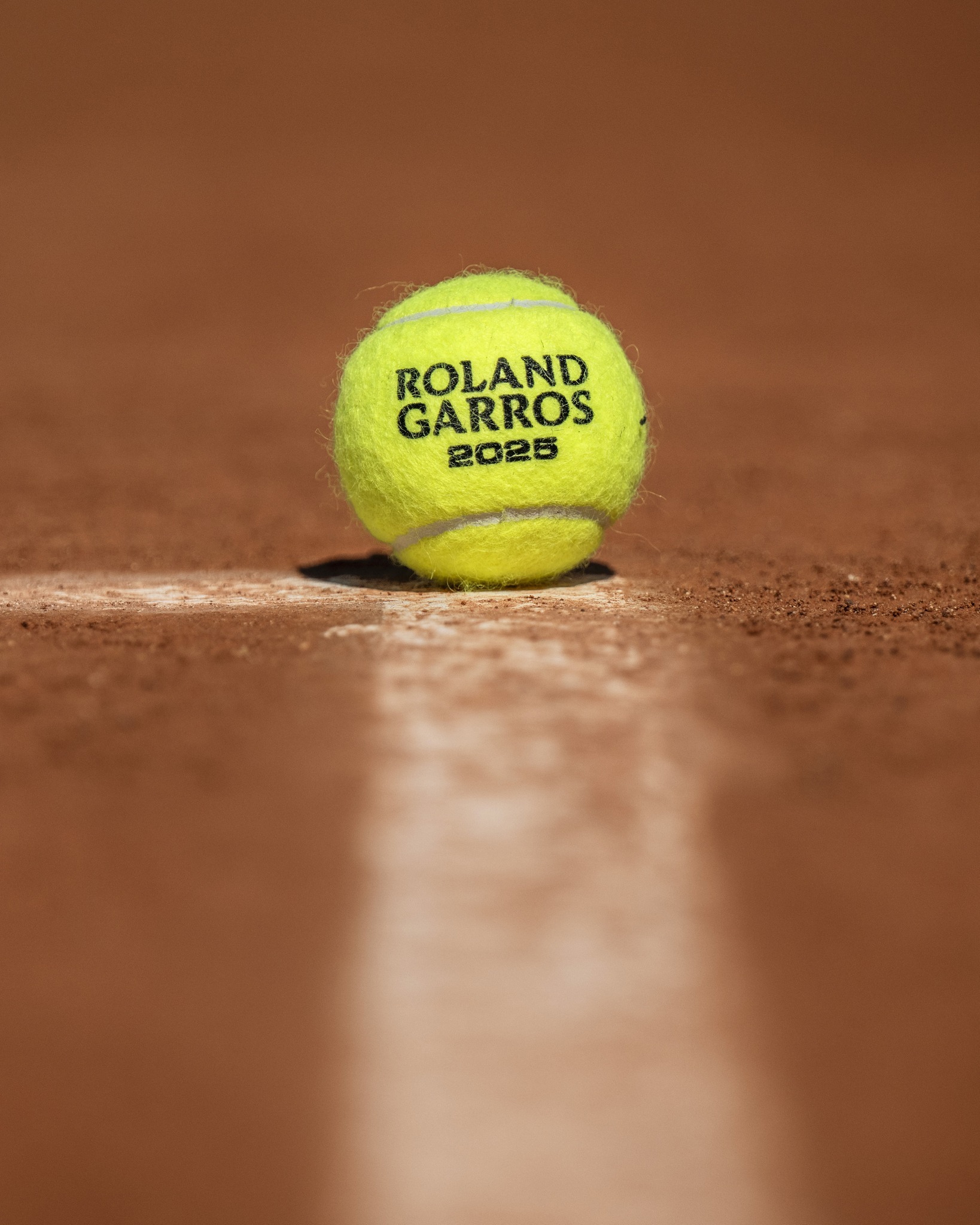 以这所学校 以这所学校